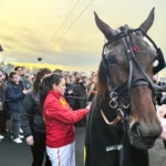 Joviality leder stort svensklag i Prix de France joviality leder stort svensklag i prix de france