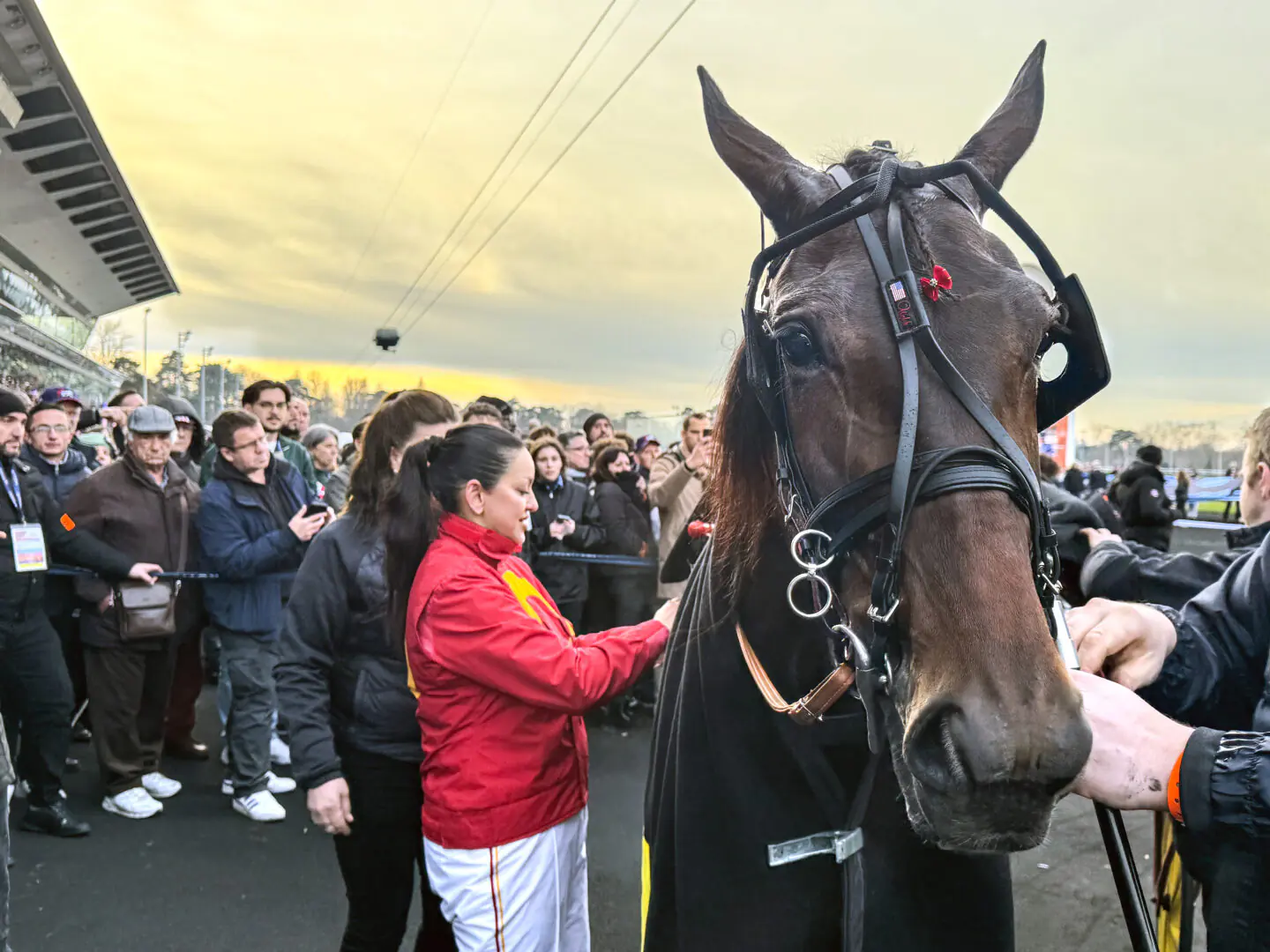 joviality leder stort svensklag i prix de france