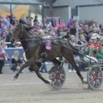 Just Believe utmanas i ”Australiens elitlopp” just believe utmanas i ”australiens elitlopp”
