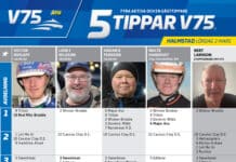 Fem tippar V75 till Halmstad 2 mars 2024 fem tippar v75 v09 fin scaled