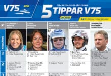 Fem tippar V75 till ÅBY 10 februari 2024 fem tippar v75 v6 k2 scaled