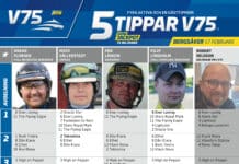 Fem tippar V75 till BERGSÅKER 17 februari 2024 fem tippar v75 v7 scaled