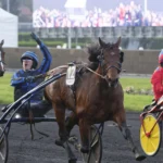 Prix d’Amérique-vinnaren Idao de Tillard till Elitloppet idao de tillard mal30 1440x960 jpg