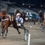 Inför V86 (jackpot): Nu borde Peak Of Glory ha lärt sig Solvalla peak of glory malgang 1440x960 jpg