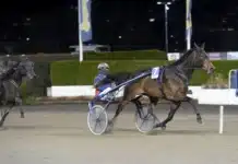Inför V86 (dubbeljackpot): Upp till bevis för pappas pojke spike m.m. mal 1440x913 jpg