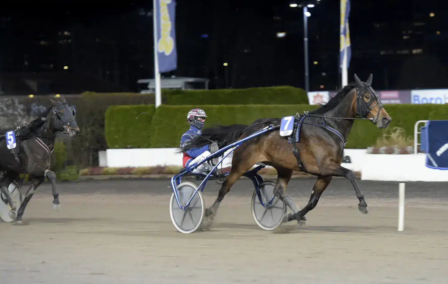 spike m.m. mal 1440x913 jpg