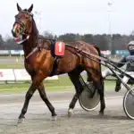 Inför V75: Angelica tror på spetsfavoriten inför v75 angelica tror på spetsfavoriten