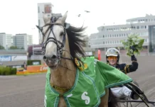 Inför V75 (dubbeljackpot): ”Sett fram mot det här hela vintern” inför v75® (dubbeljackpot) ”sett fram mot det här hela vintern”