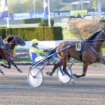 Inför V86 (jackpot): Reijo hoppas avsluta snyggt inför v86® (jackpot) reijo hoppas avsluta snyggt