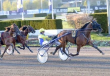 Inför V86 (jackpot): Reijo hoppas avsluta snyggt inför v86® (jackpot) reijo hoppas avsluta snyggt