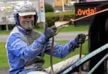 Inför V86 (jackpot): Andreas Lövdal med två stallfavoriter andreas lovdal i sulky 1 jpg