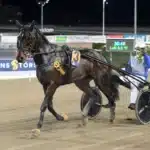 Inför V86: Lövdals segermaskin jagar fjärde raka delon grif segerdefilerar 1440x972 jpg
