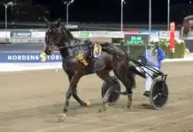 Inför V86: Lövdals segermaskin jagar fjärde raka delon grif segerdefilerar 1440x972 jpg