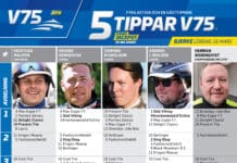 Fem tippar V75 till BJERKE 16 mars 2024 fem tippar v75 v11 1 scaled