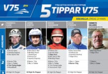 Fem tippar V75 till Solvalla 23 mars 2024 fem tippar v75 v12 scaled