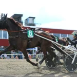 Inför V75: ”Tror alltid på chans med honom” inför v75® ”tror alltid på chans med honom”