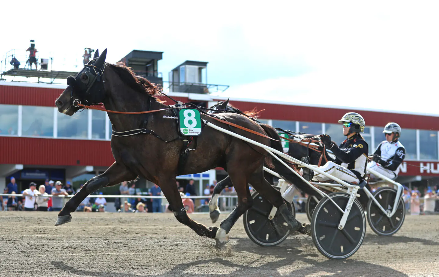 inför v75® ”tror alltid på chans med honom”