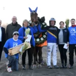 Sagohästen kommer – Elitloppet för A Fair Day a fair day pris 680 1440x1016 jpg