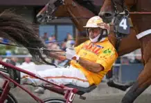 Unik statistik inför V75 Jägersro alessandro gocciadoro 89 1440x1000 jpg
