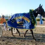 Lottat till Paralympiatravet bengurion jet segerdefilering 1440x960 jpg