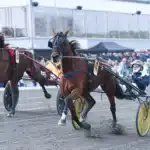Inför V86 (jackpot): ”Tarzans” toppsto stormar fram: ”Har utvecklats kolossalt” decision maker mal 090 1440x870 jpg