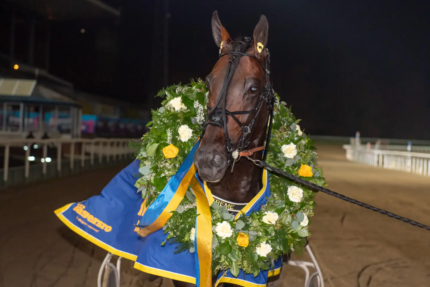 extreme med krans 1440x960 jpg