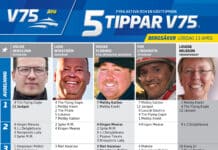 Fem tippar V75 till Bergsåker 13 april 2024 fem tippar v75 v15 2 scaled
