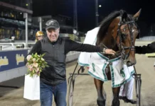 Inför V86 (dubbeljackpot): Per med elitloppskandidaten – “Då kan vi börja drömma” per k eriksson och lozano di quattro 1440x984 jpg