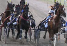 De 5 hästkapplöpningarna i Sverige du inte får missa! race 2065465