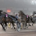 Inför V75: Mortens löfte ute efter att ta upp segerraden igen spike m.m. mal 1440x843 jpg