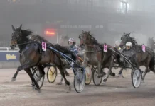 Inför V75: Mortens löfte ute efter att ta upp segerraden igen spike m.m. mal 1440x843 jpg