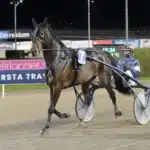 Inför V75 (jackpot): Heta chanser för Eriksson spike m.m. segerdefilerar 1440x1002 jpg