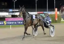 Inför V75 (jackpot): Heta chanser för Eriksson spike m.m. segerdefilerar 1440x1002 jpg