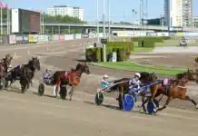 Uppseendeväckande statistik från Elitloppshelgen ett speedryck som aldrig skådats förut