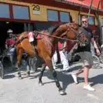 Irländaren klar för Jämtlands Stora Pris irländaren klar för jämtlands stora pris