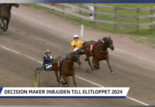 DECISION MAKER till Elitloppet! skärmavbild 2024 05 18 kl. 17.03.54