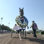 Sweden Cup: Missle Hill – knatten med sju liv sweden cup missle hill – knatten med sju liv