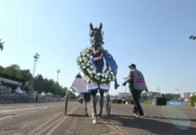 Sweden Cup: Missle Hill – knatten med sju liv sweden cup missle hill – knatten med sju liv
