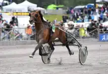 Inför V86 (jackpot): ”Är oerhört snabb i benen – inte många som tar honom på 300 meter” always a pleasure mal 231 1440x994 jpg