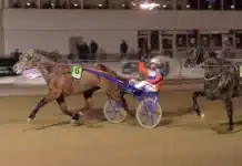 Inför V75 (jackpot): ”Då kan allt hända” axel ruda mal 720x425 jpg