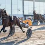 Inför V86 (jackpot) och 2xV75: Gocciadoro siktar på spets i Paralympiatravet bengurion jet malgang2 1440x960 jpg