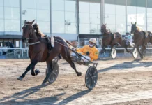 Inför V86 (jackpot) och 2xV75: Gocciadoro siktar på spets i Paralympiatravet bengurion jet malgang2 1440x960 jpg