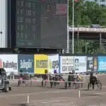 V75 & DD Tips Elitloppslördagen + Unik Elitloppsstatistik don fanucci zet startgalopp 1440x879 jpg