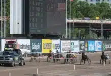 V75 & DD Tips Elitloppslördagen + Unik Elitloppsstatistik don fanucci zet startgalopp 1440x879 jpg