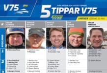 Fem tippar V75 till Umåker lördag 11 maj 2024 fem tippar v75 v19 2 scaled