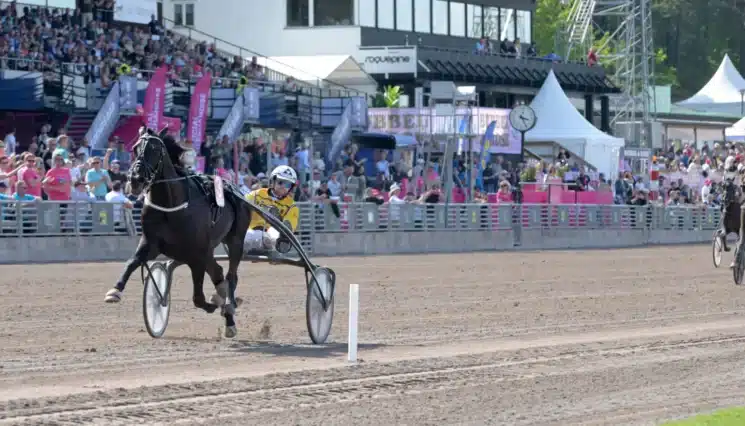 fine manners mal 1440x824 jpg