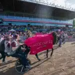 Startspåren lottade i Elitloppet hohneck segerdefilering 06676 1440x960 jpg