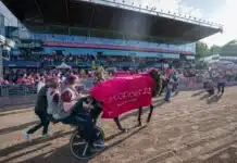 Startspåren lottade i Elitloppet hohneck segerdefilering 06676 1440x960 jpg