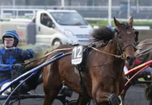 Idao de Tillard trea i genrepet inför Elitloppet idao de tillard mal33 1440x959 jpg