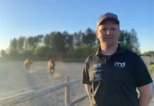 Inför GS75 (fredag): Mattias Djuse drar igång med två obesegrade hästar mattias djuse i kvallssol jpg